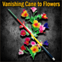 Vanishing Cane to Flowers - Multicolor