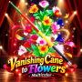 Vanishing Cane to Flowers - Multicolor