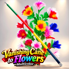 Vanishing Cane to Flowers - Multicolor
