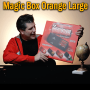 Magic Box Orange Large - George Iglesias