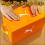 Magic Box Orange Large - George Iglesias