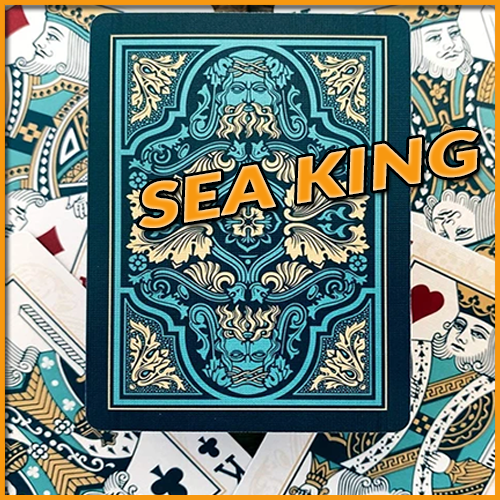gro plan sur le dos du jeu Bicycle Sean king playing card