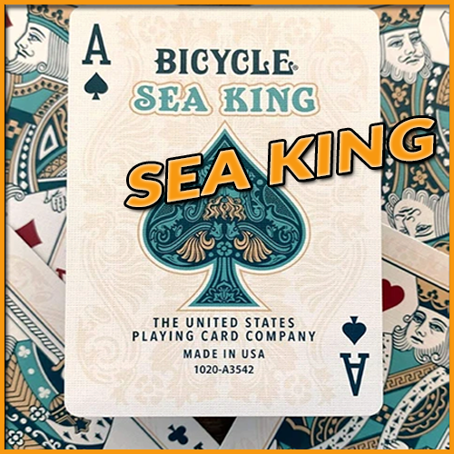 gros plan sur la carte As de pique du jeu Bicycle Sean king playing card