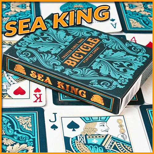 l'etui du jeu posée sur des carte du jeu Bicycle Sean king playing card