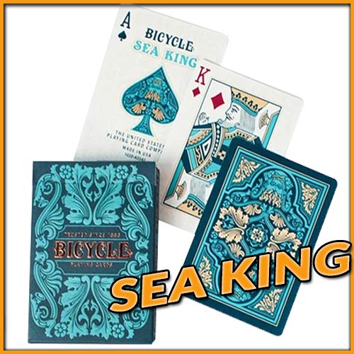 L'ad de pique le roi de carreau et l'étui du jeu Bicycle Sean king playing card