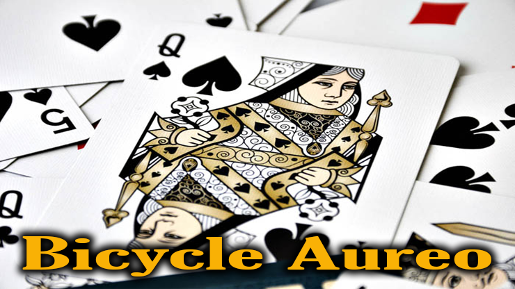 voici la dame de pique du jeu bicycle aureo